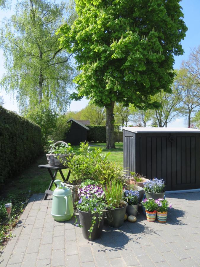 Vakantiewoning De Klaproos Bojil المظهر الخارجي الصورة